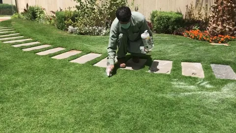 تنسيق حدائق خارجية عصرية