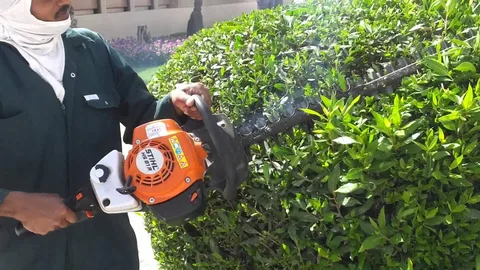  عامل قص شجر