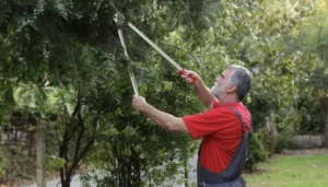  عامل قص شجر