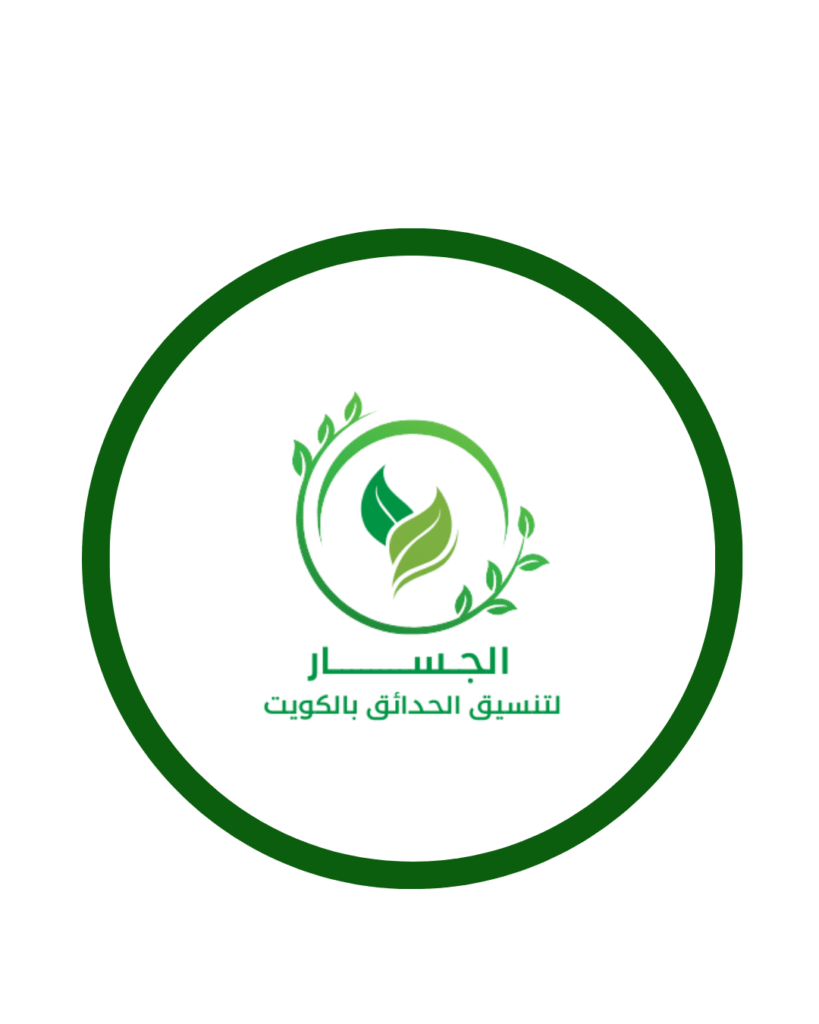 تصميم بدون عنوان (6)